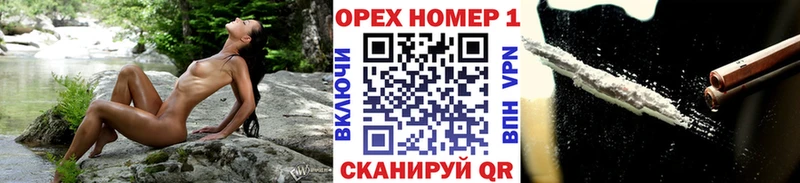 Купить закладки  Заречный  Кокаин Эквадор 