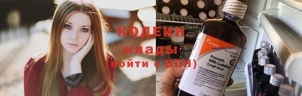 гашик Костерёво