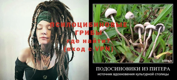 гашик Костерёво