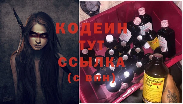 гашик Костерёво