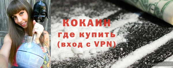 гашик Костерёво