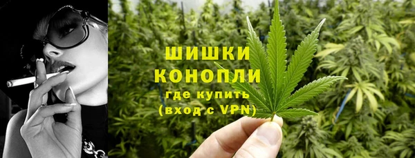 гашик Костерёво